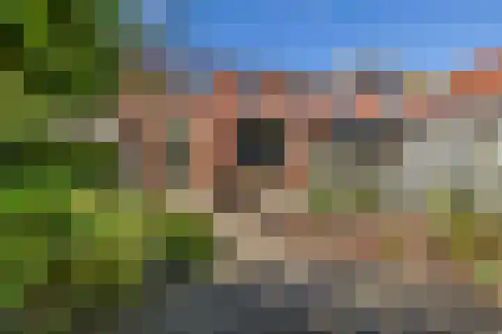 De Vergulde Paarden 107 Amersfoort thumbnail 28