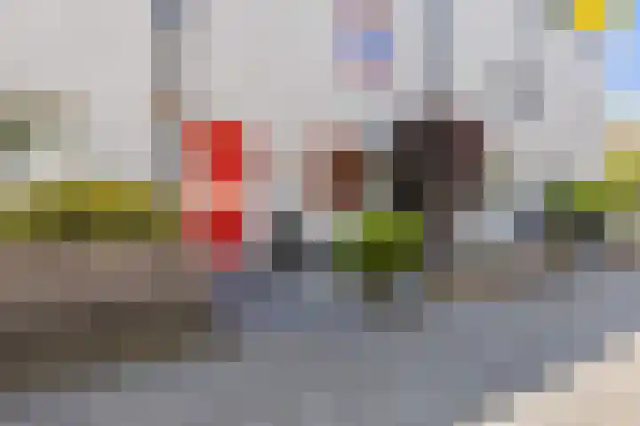 De Vergulde Paarden 107 Amersfoort thumbnail 29