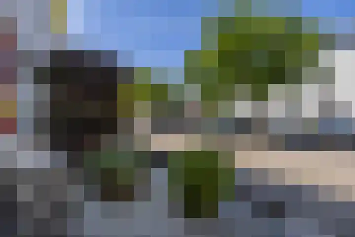 De Vergulde Paarden 107 Amersfoort thumbnail 30
