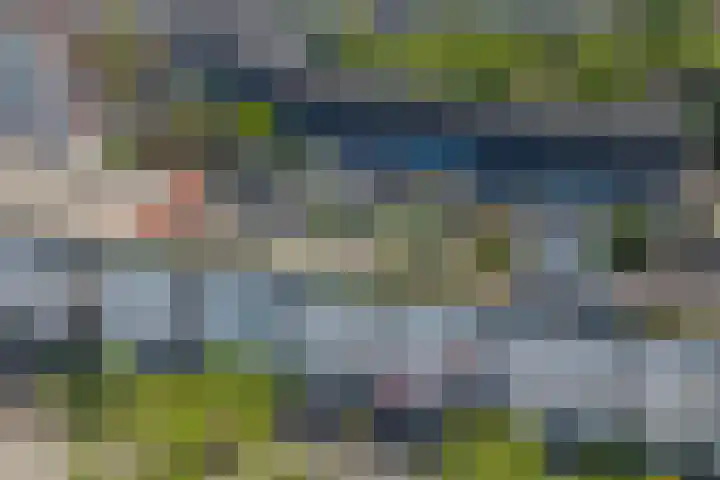 De Vergulde Paarden 107 Amersfoort thumbnail 31