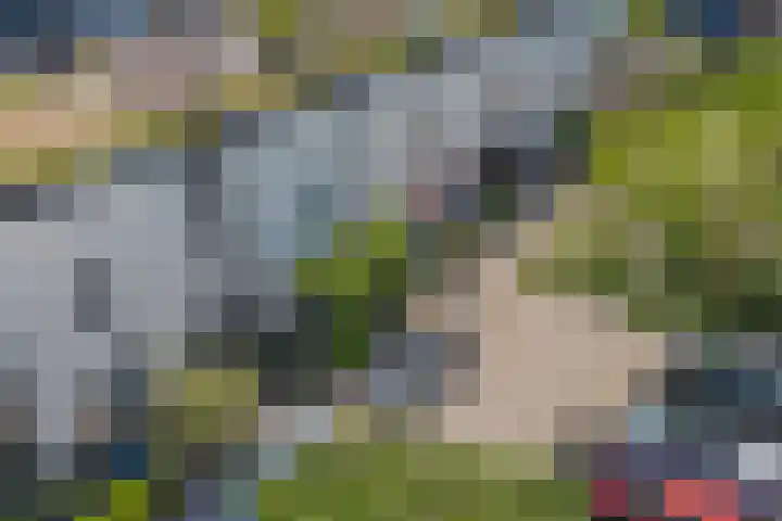 De Vergulde Paarden 107 Amersfoort thumbnail 32
