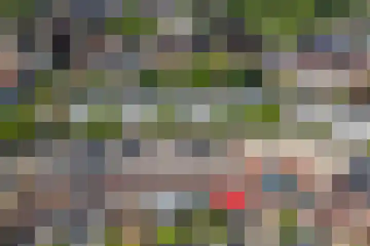 De Vergulde Paarden 107 Amersfoort thumbnail 33