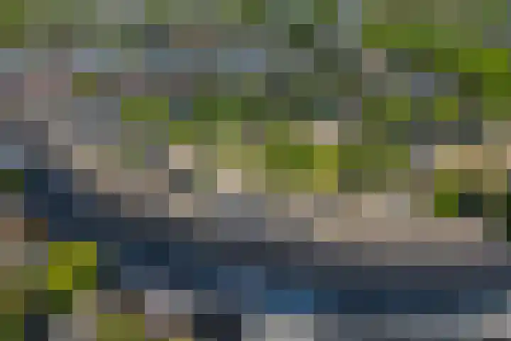De Vergulde Paarden 107 Amersfoort thumbnail 35