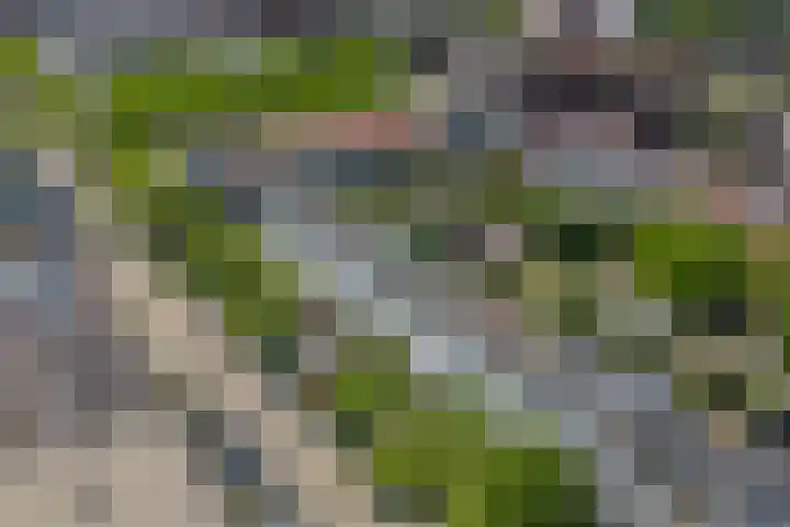 De Vergulde Paarden 107 Amersfoort thumbnail 36