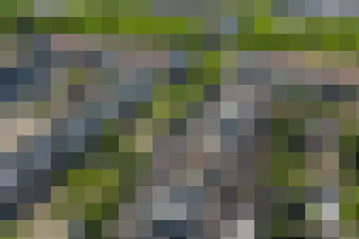 De Vergulde Paarden 107 Amersfoort thumbnail 39