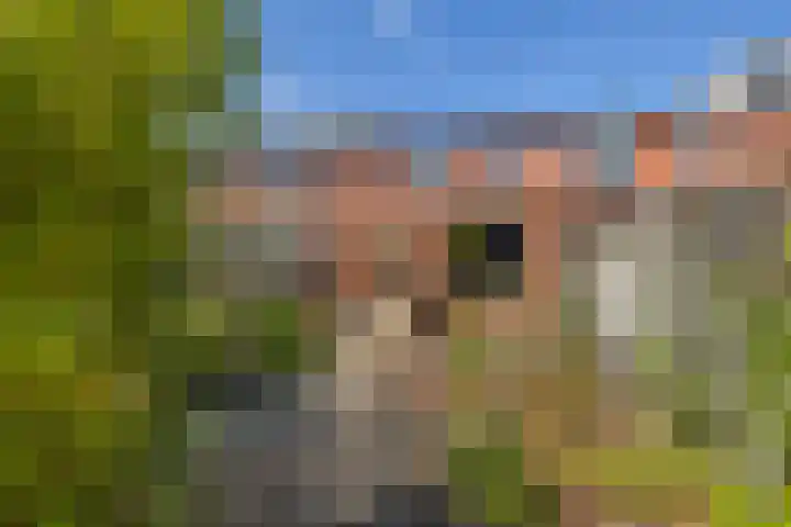 De Vergulde Paarden 107 Amersfoort thumbnail 4