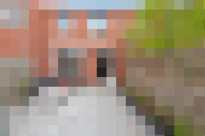 De Vergulde Paarden 45 Amersfoort thumbnail 33