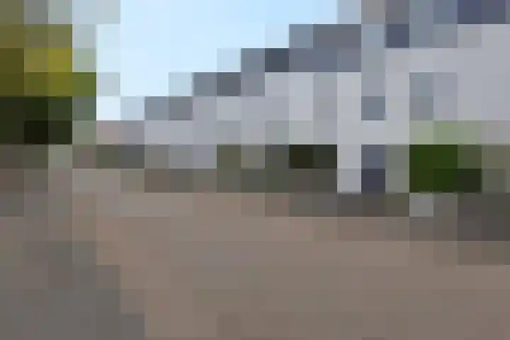 De Vergulde Paarden 45 Amersfoort thumbnail 6