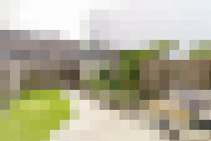 De Vergulde Paarden 75 Amersfoort thumbnail 22
