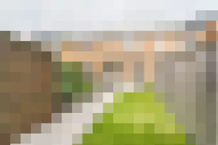 De Vergulde Paarden 75 Amersfoort thumbnail 23