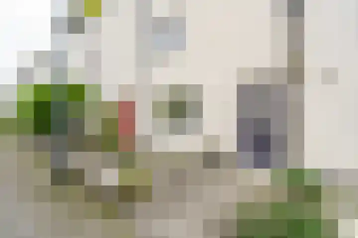 De Vergulde Paarden 75 Amersfoort thumbnail 24