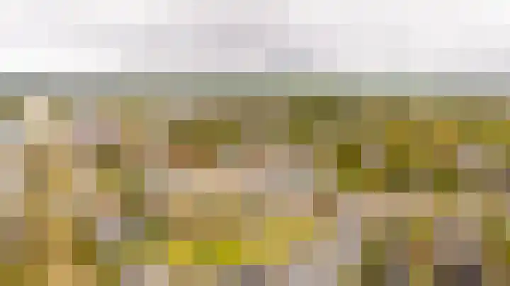 De Vergulde Paarden 75 Amersfoort thumbnail 33