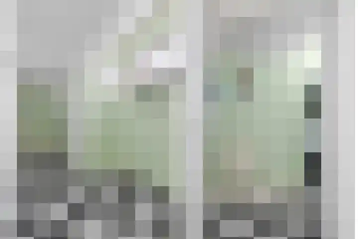 De Vergulde Paarden 79 Amersfoort thumbnail 34