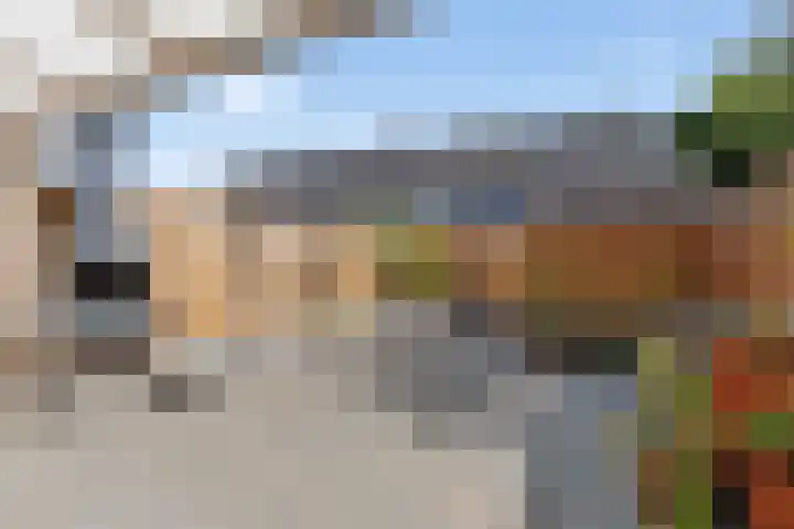 De Vergulde Paarden 79 Amersfoort thumbnail 38