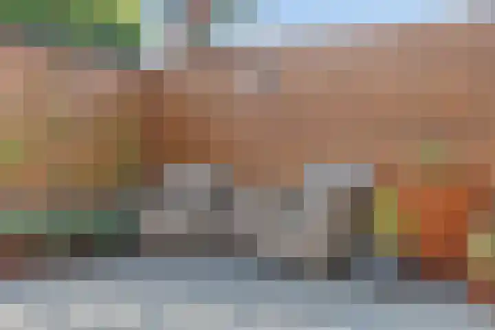 De Vergulde Paarden 79 Amersfoort thumbnail 39