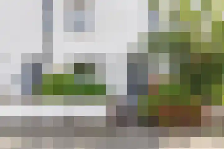 De Vergulde Paarden 79 Amersfoort thumbnail 5