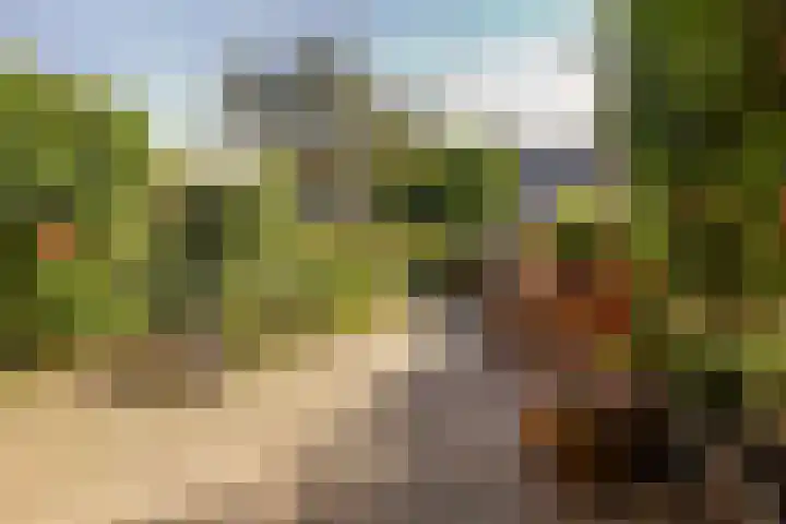 De Vergulde Paarden 83 Amersfoort thumbnail 33