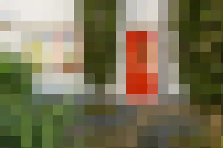 De Vergulde Paarden 83 Amersfoort thumbnail 36