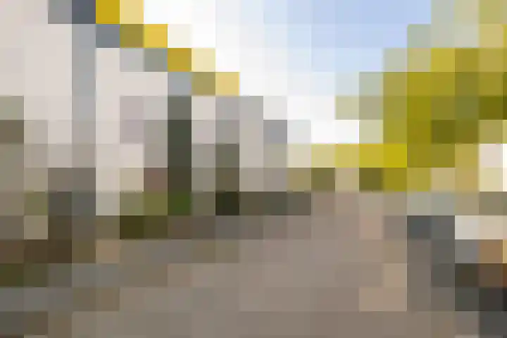 De Vergulde Paarden 83 Amersfoort thumbnail 37
