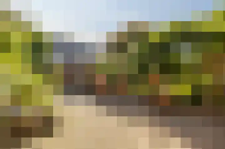 De Vergulde Paarden 83 Amersfoort thumbnail 4