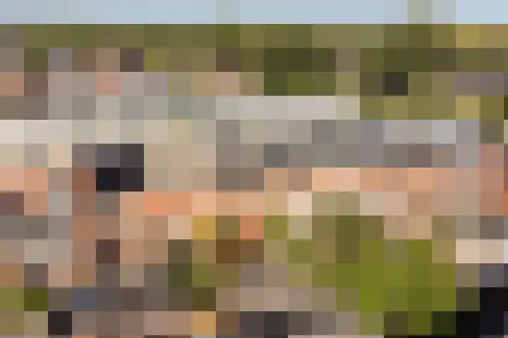 De Vergulde Paarden 83 Amersfoort thumbnail 41