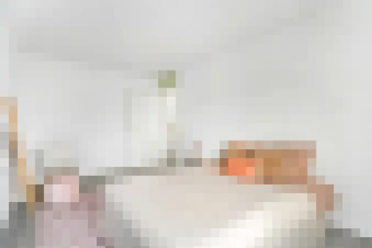 De Vergulde Pauw 19 Amersfoort thumbnail 18