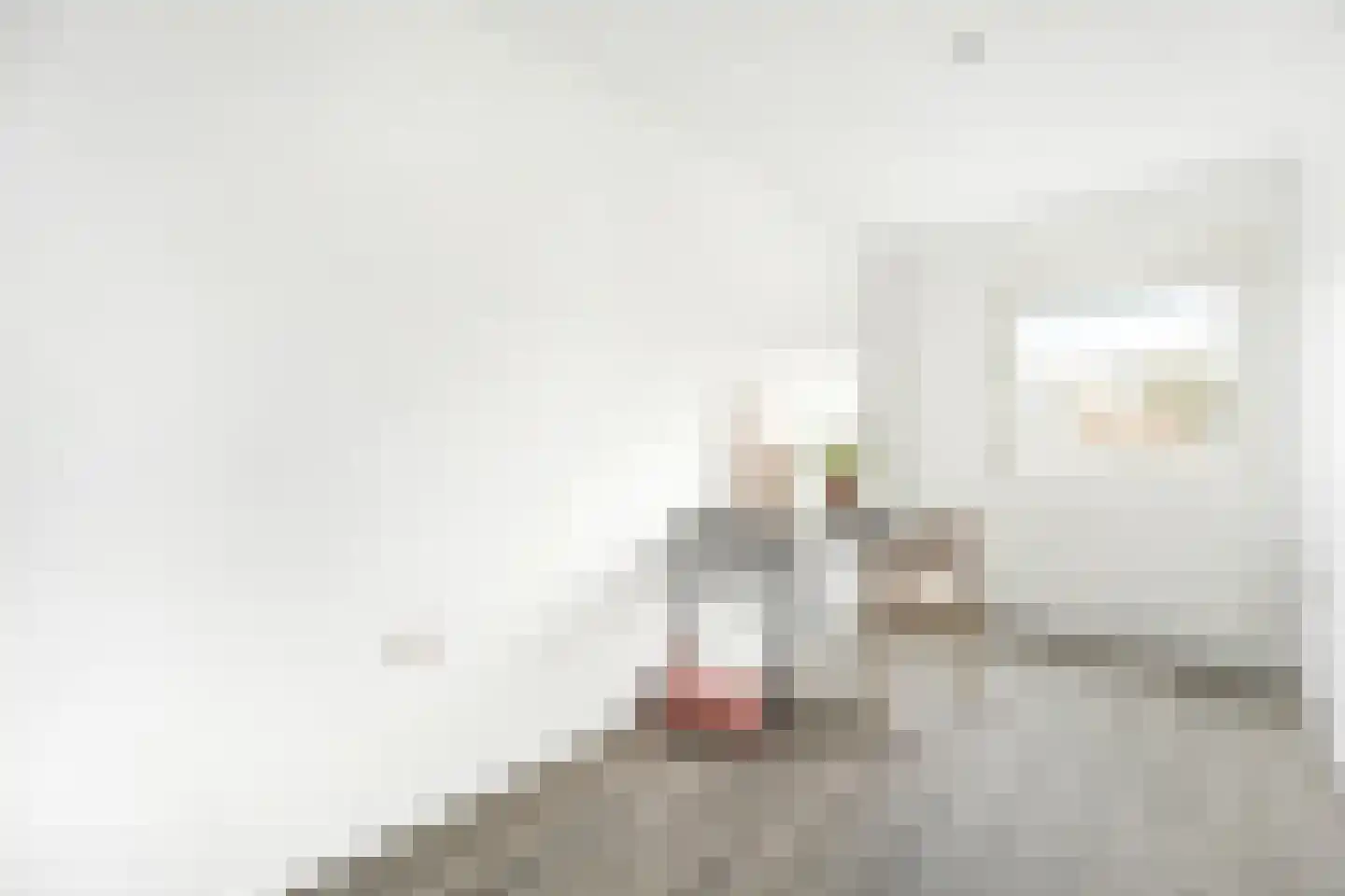 De Vergulde Pauw 19 Amersfoort thumbnail 19