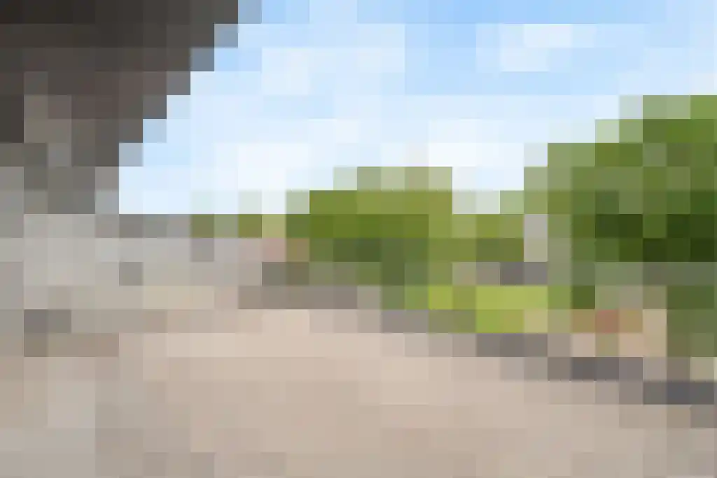De Vergulde Pauw 19 Amersfoort thumbnail 33