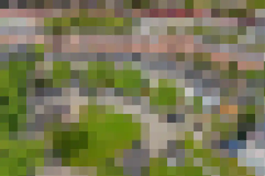 De Vergulde Pauw 19 Amersfoort thumbnail 38