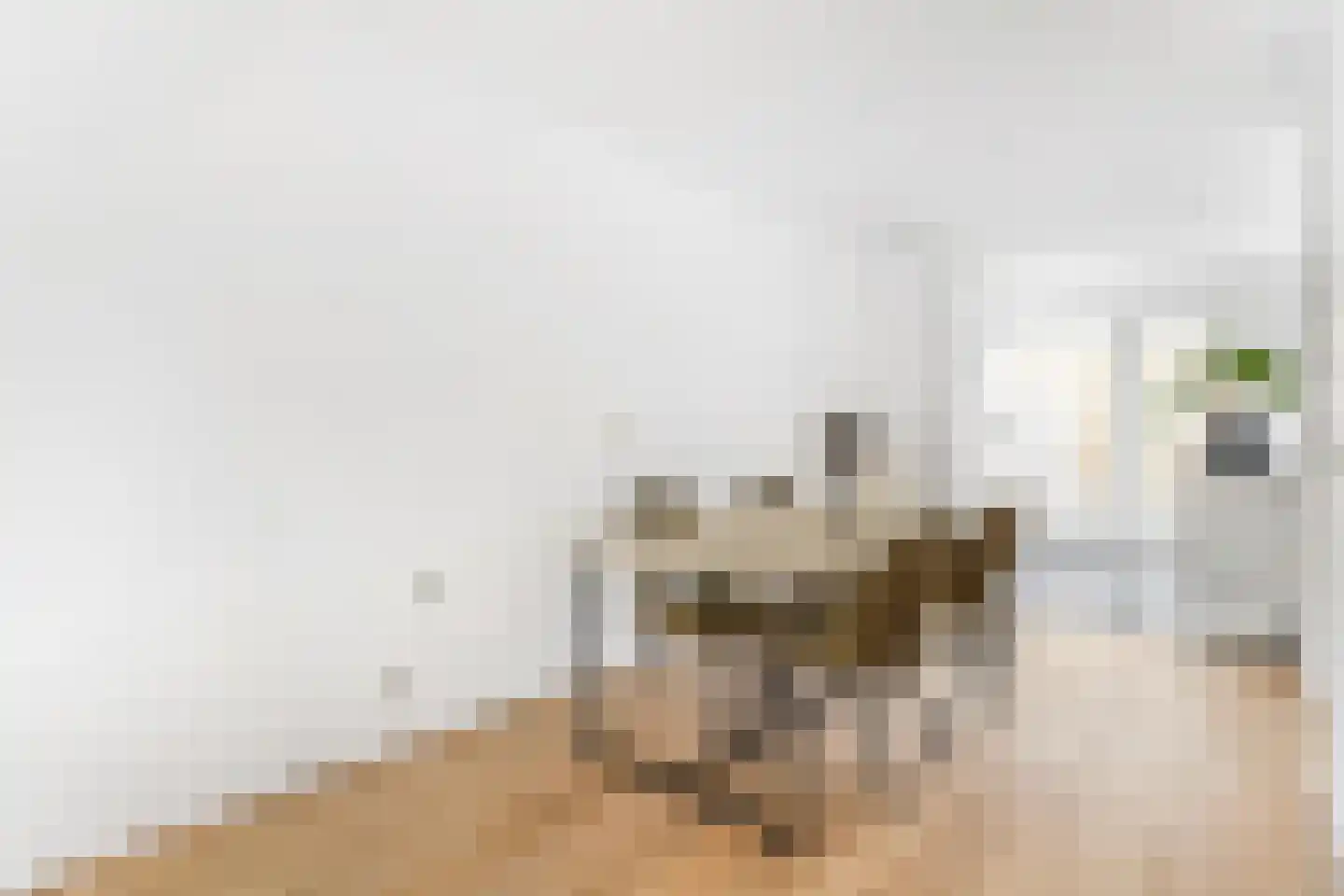 De Vergulde Pauw 19 Amersfoort thumbnail 7