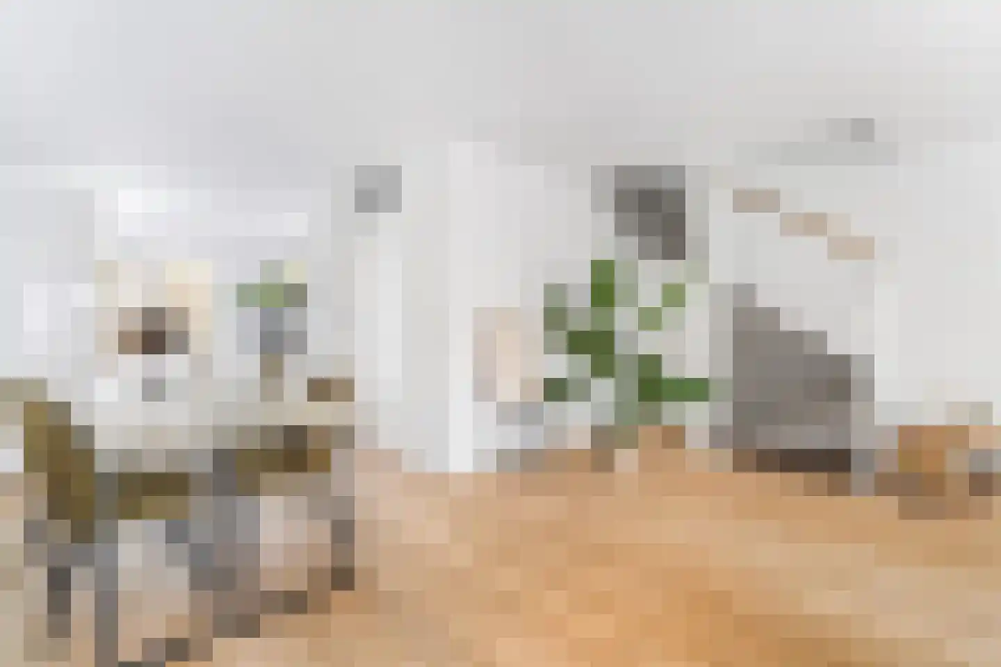 De Vergulde Pauw 19 Amersfoort thumbnail 8