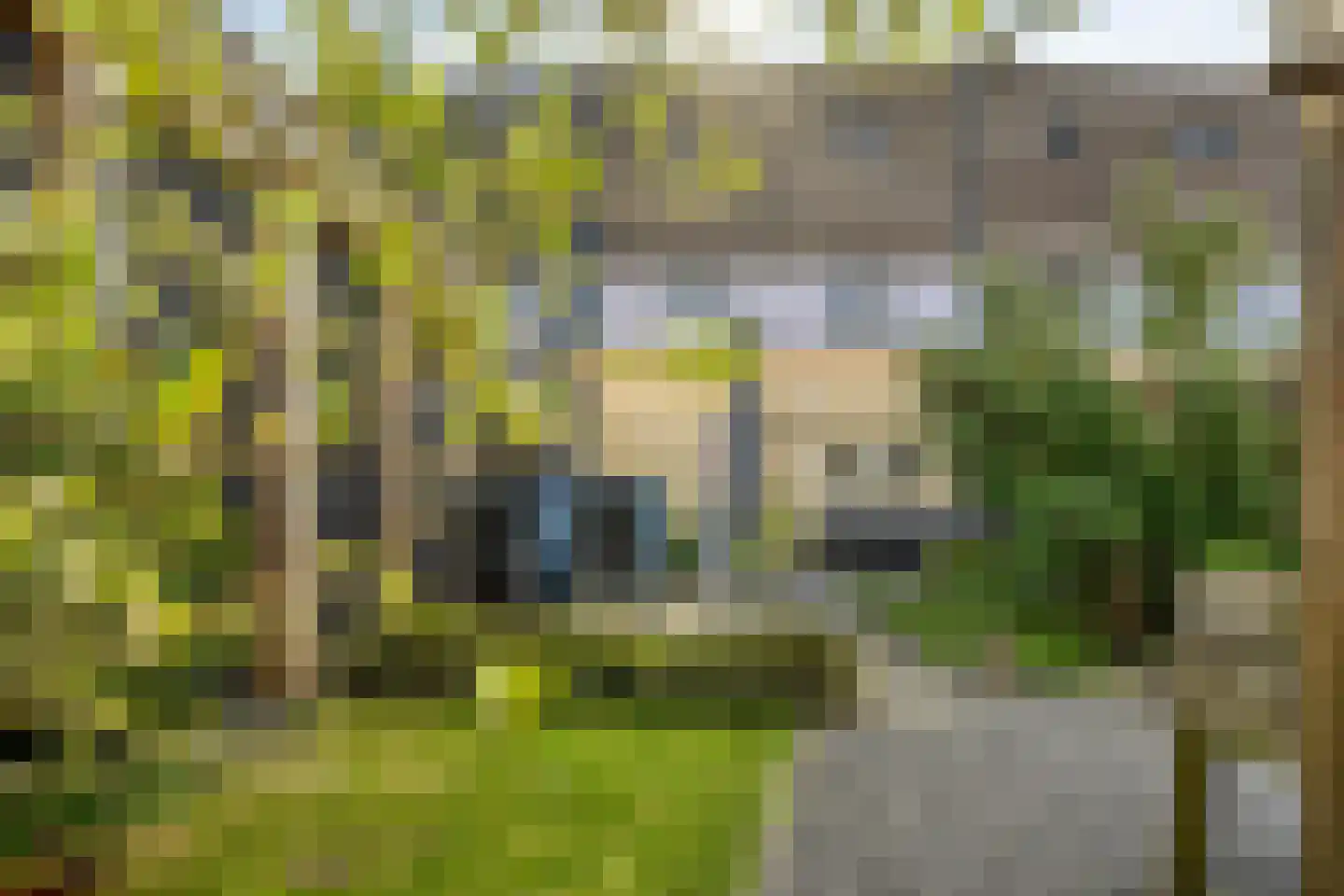 De Vergulde Pauw 23 Amersfoort