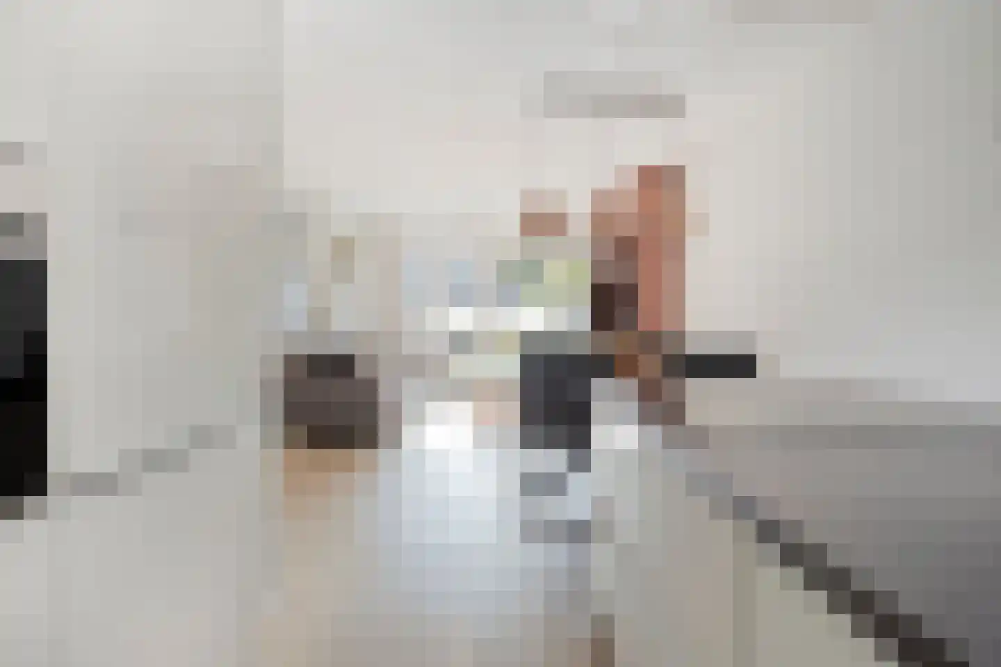De Vergulde Pauw 23 Amersfoort thumbnail 12