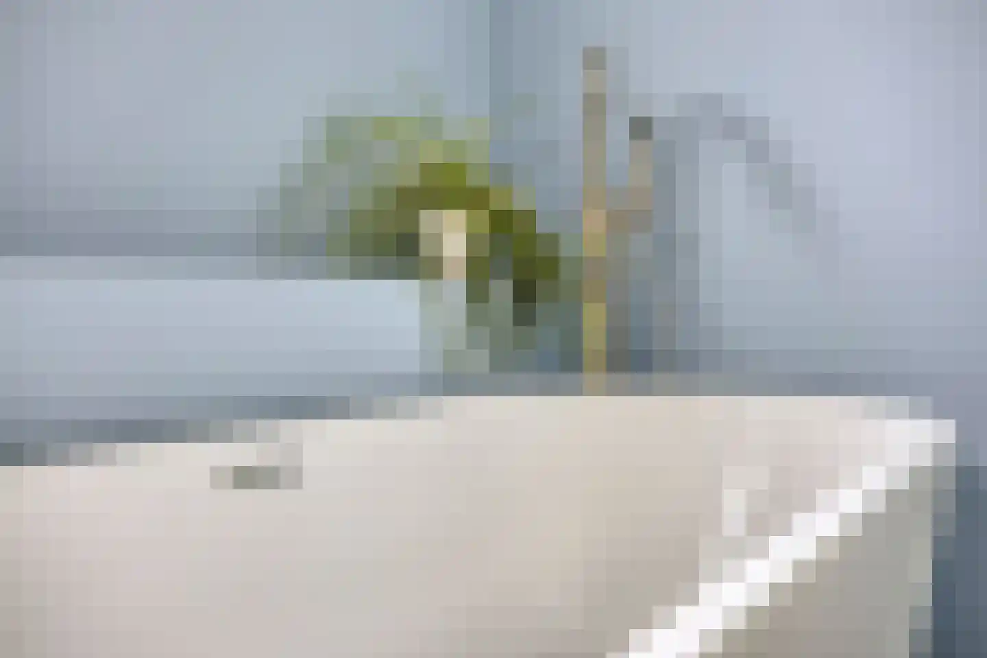 De Vergulde Pauw 23 Amersfoort thumbnail 20