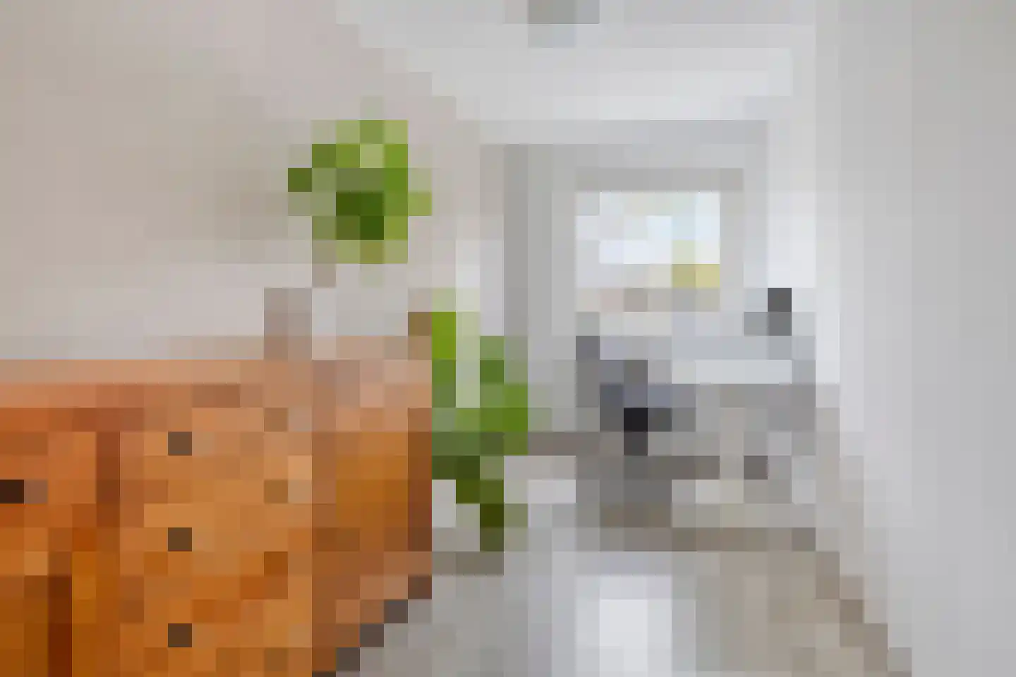 De Vergulde Pauw 23 Amersfoort thumbnail 21