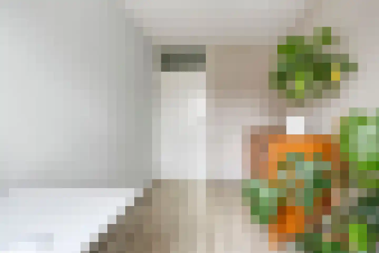 De Vergulde Pauw 23 Amersfoort thumbnail 22