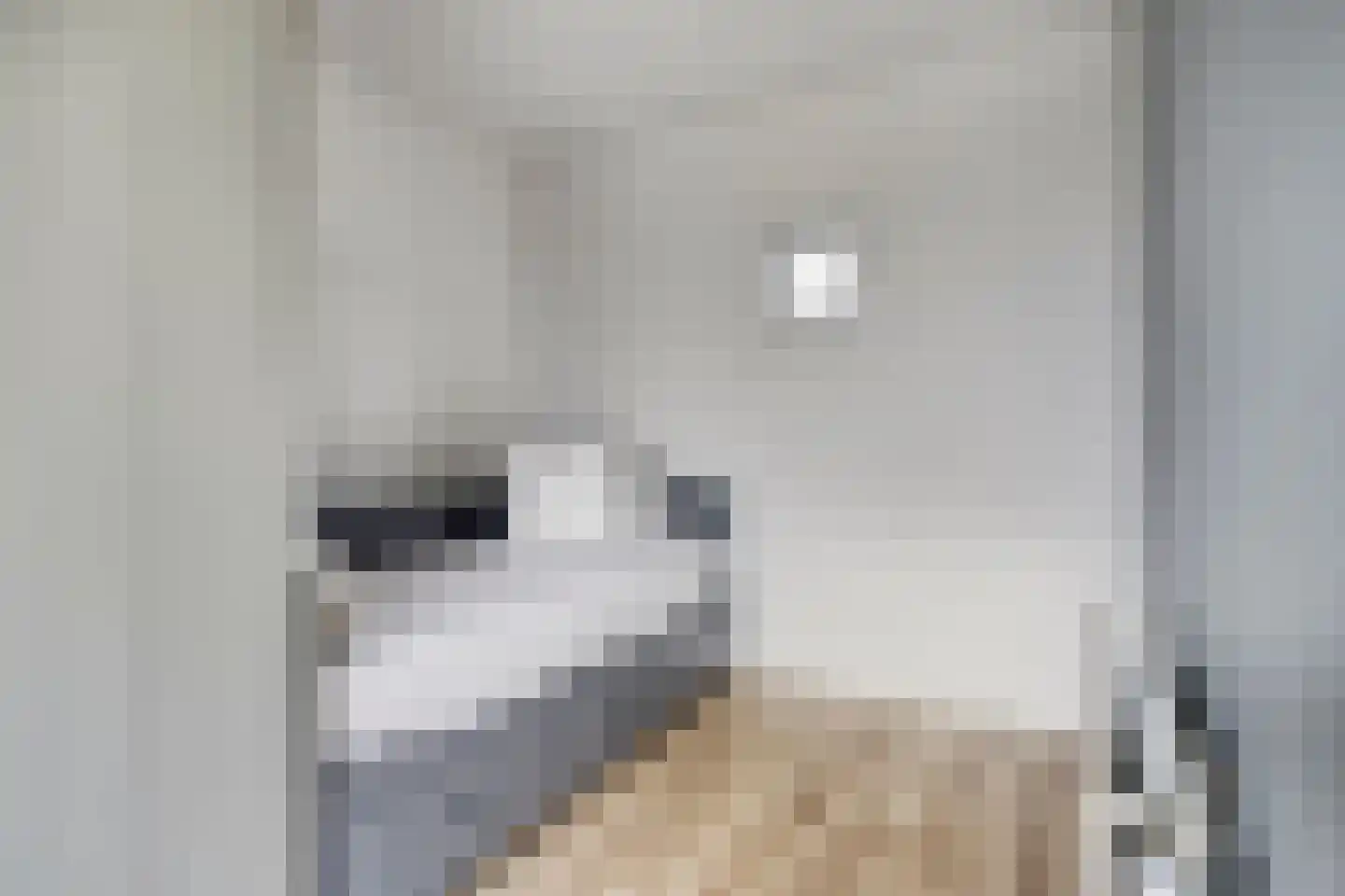 De Vergulde Pauw 23 Amersfoort thumbnail 26