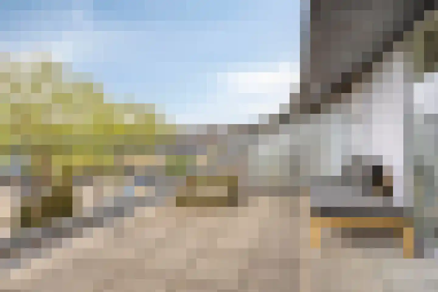 De Vergulde Pauw 23 Amersfoort thumbnail 28