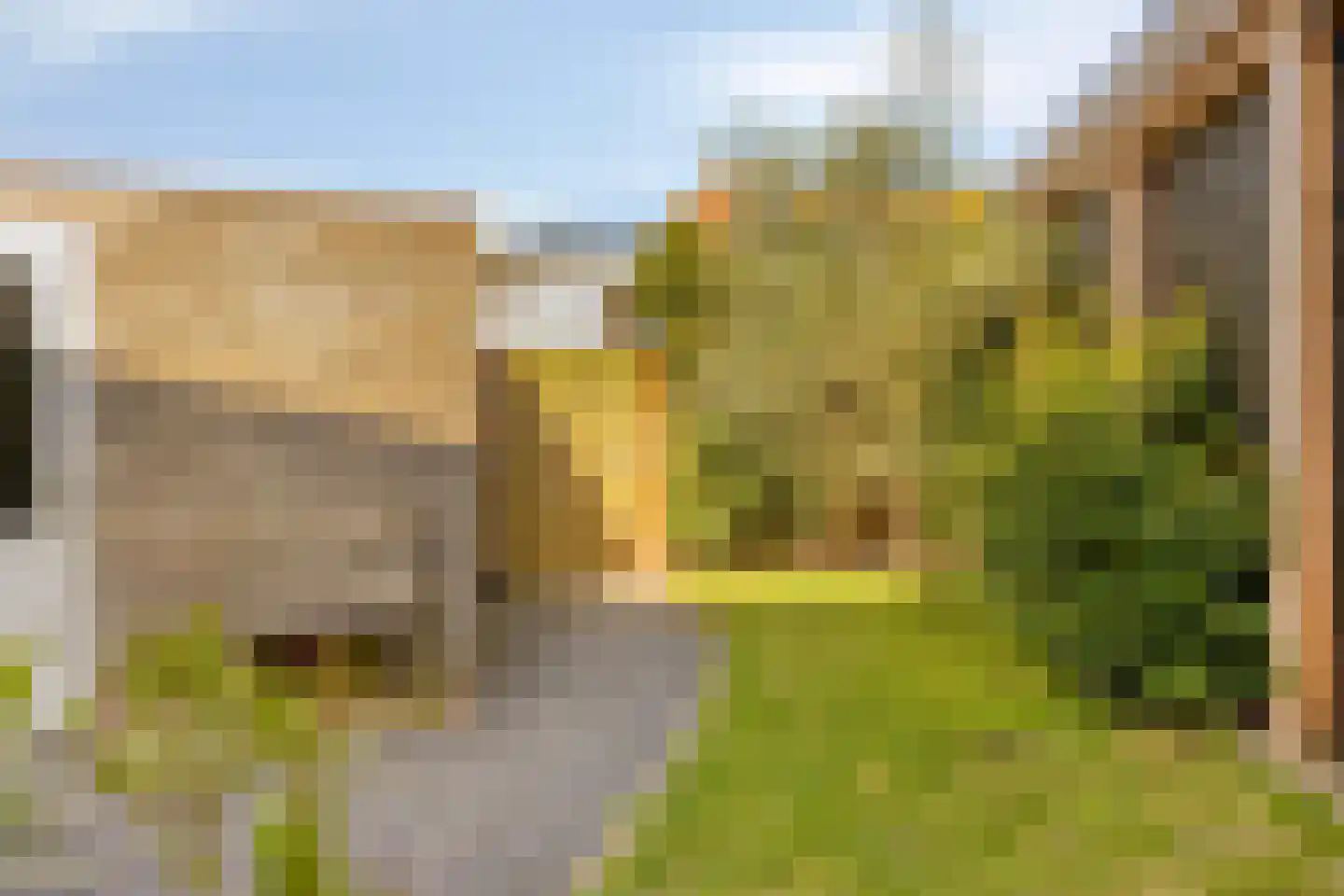 De Vergulde Pauw 23 Amersfoort thumbnail 35