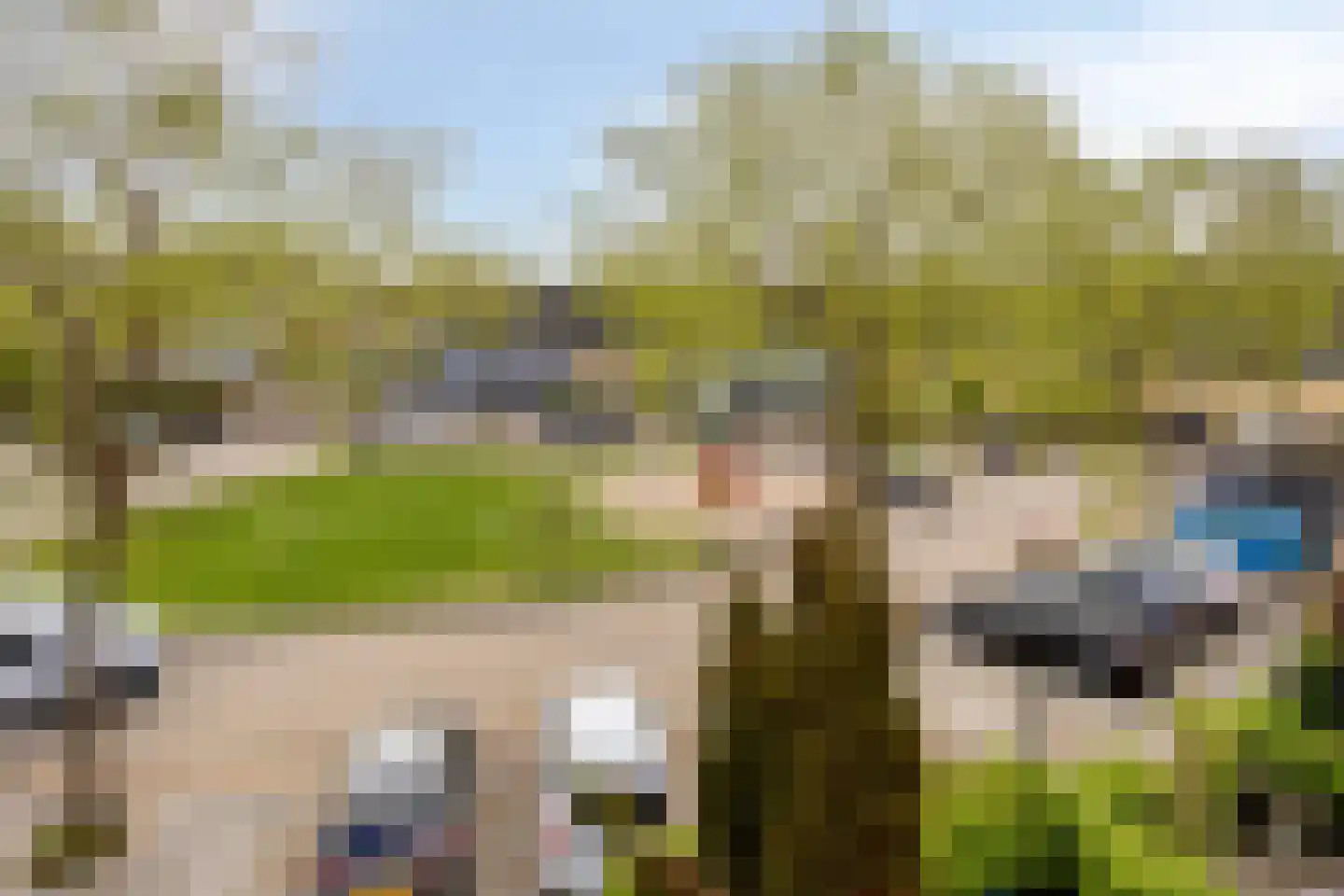 De Vergulde Pauw 23 Amersfoort thumbnail 36