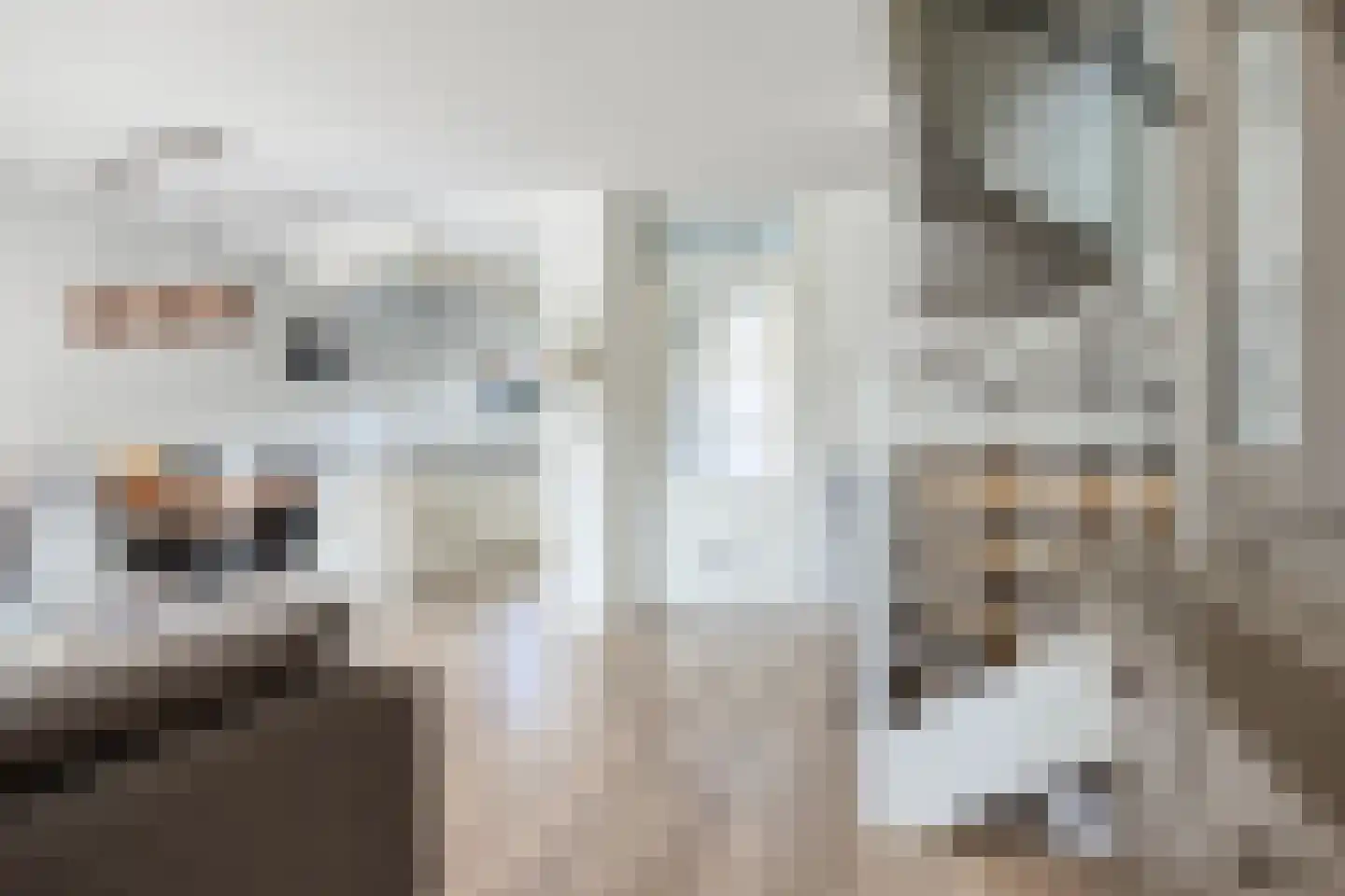 De Vergulde Pauw 23 Amersfoort thumbnail 4