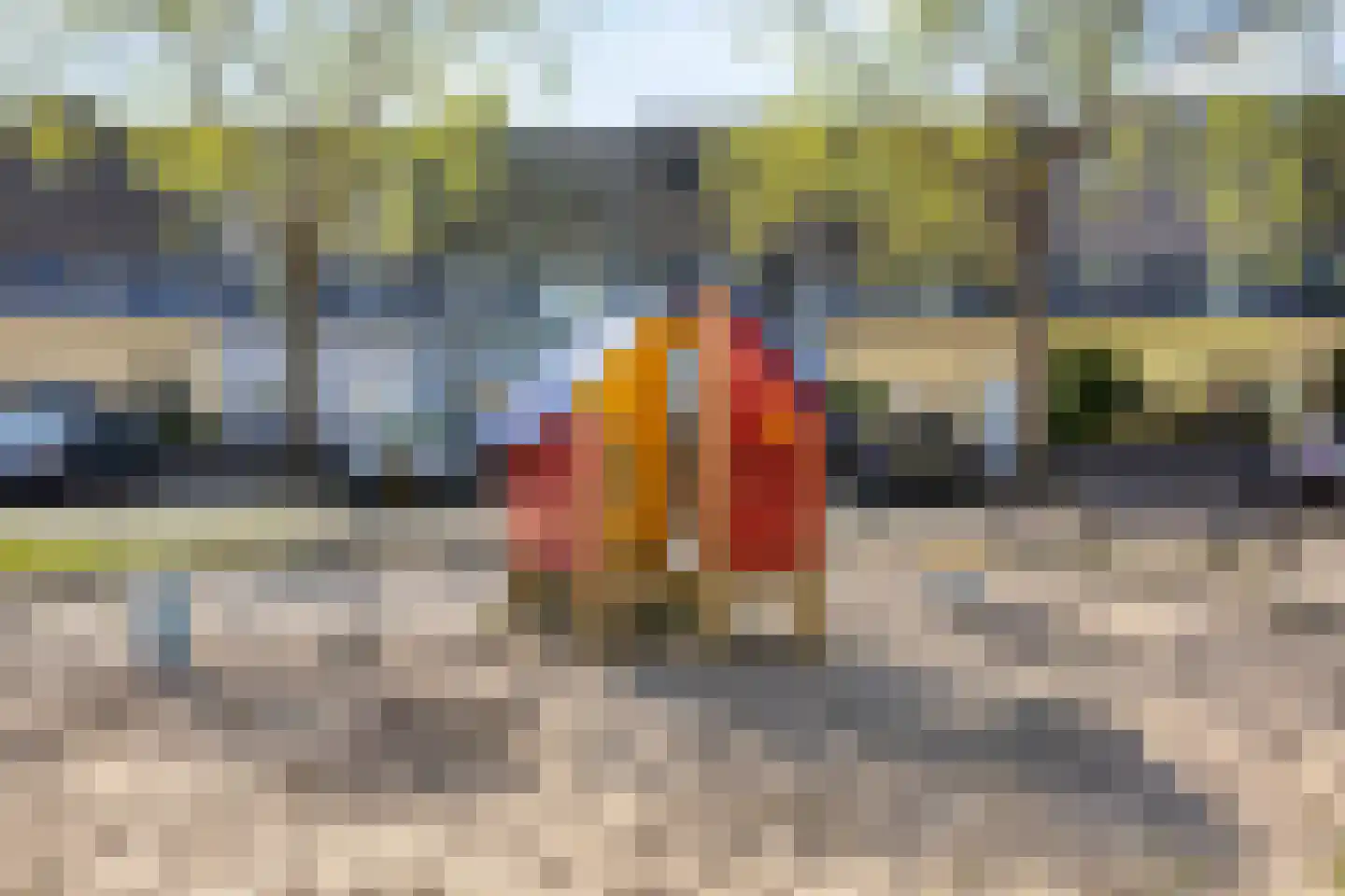De Vergulde Pauw 23 Amersfoort thumbnail 41