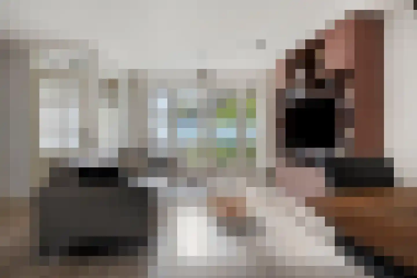 De Vergulde Pauw 23 Amersfoort thumbnail 8