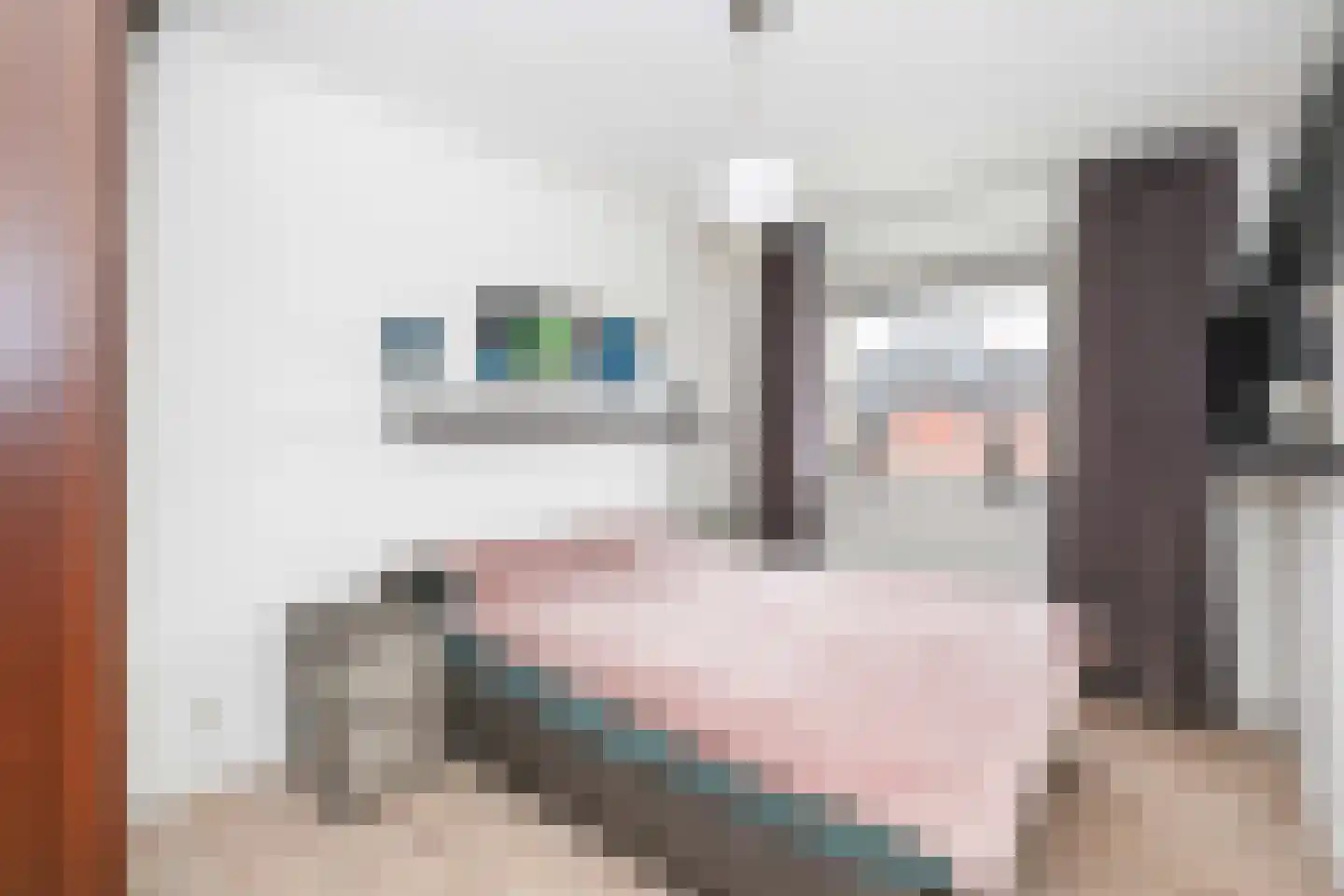 De Vergulde Pauw 4 Amersfoort thumbnail 16