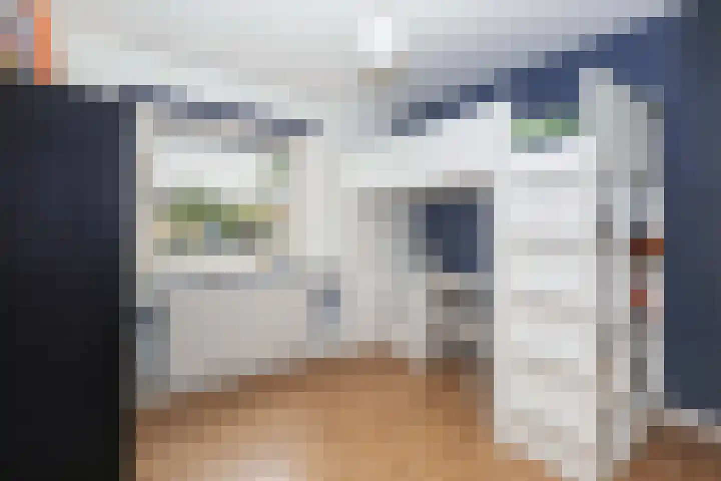 De Vergulde Pauw 4 Amersfoort thumbnail 17