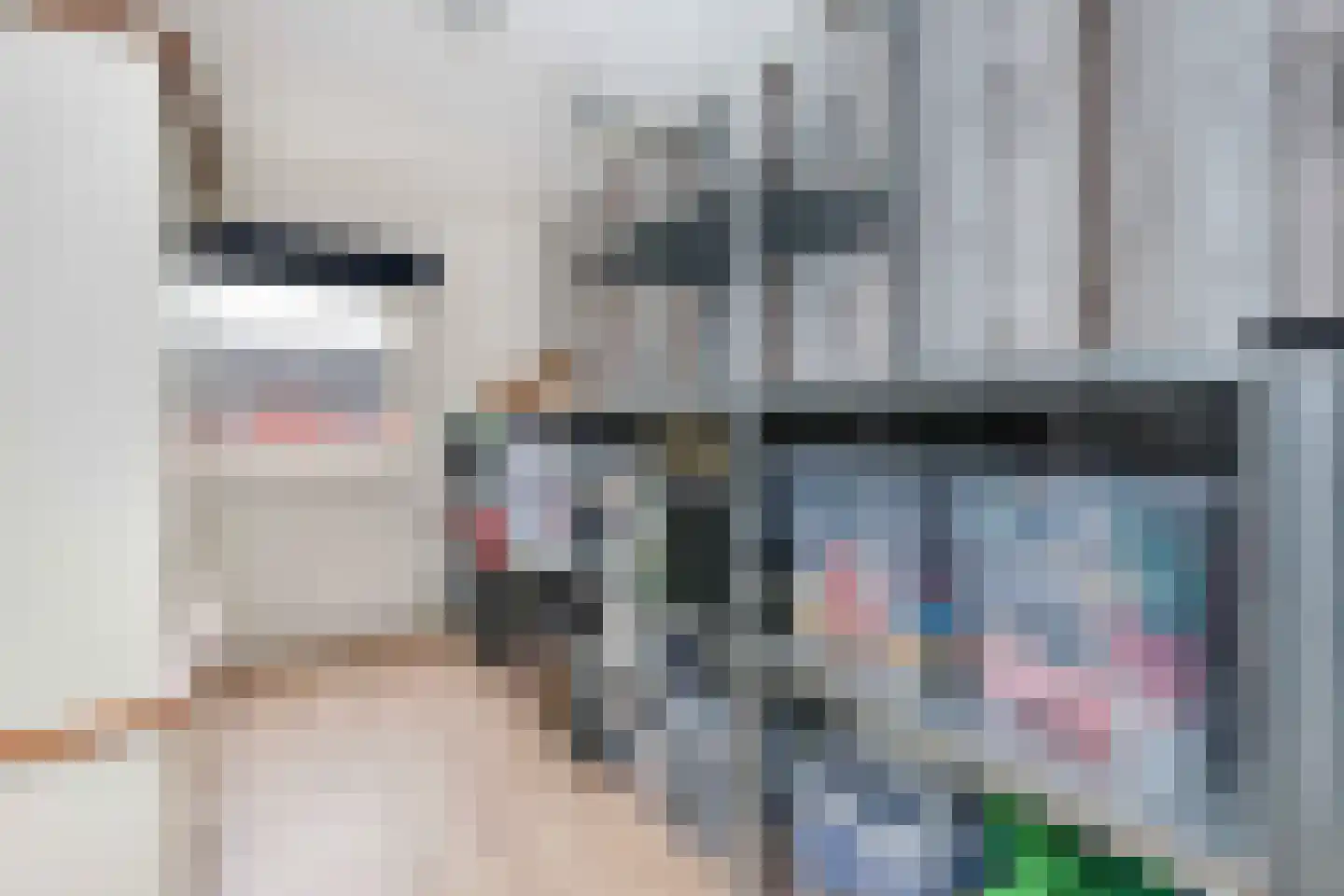 De Vergulde Pauw 4 Amersfoort thumbnail 18