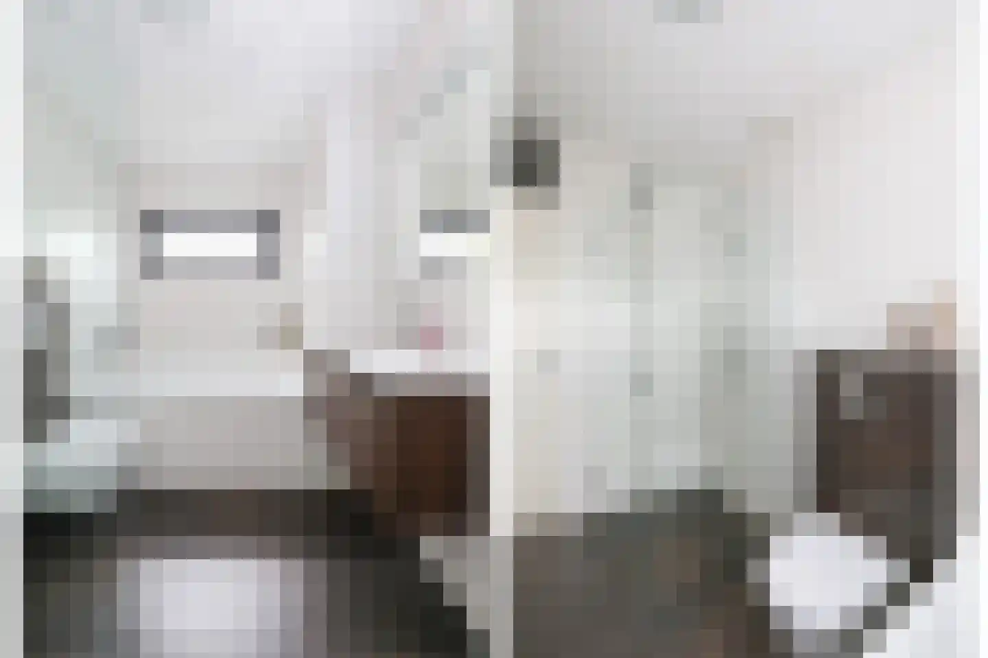 De Vergulde Pauw 4 Amersfoort thumbnail 19