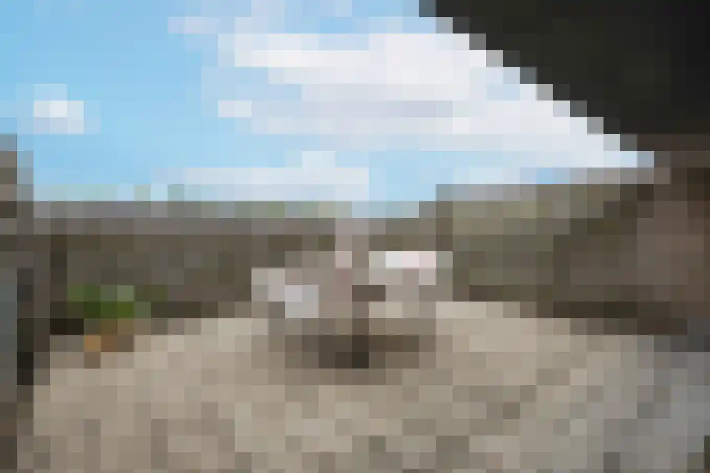 De Vergulde Pauw 4 Amersfoort thumbnail 23