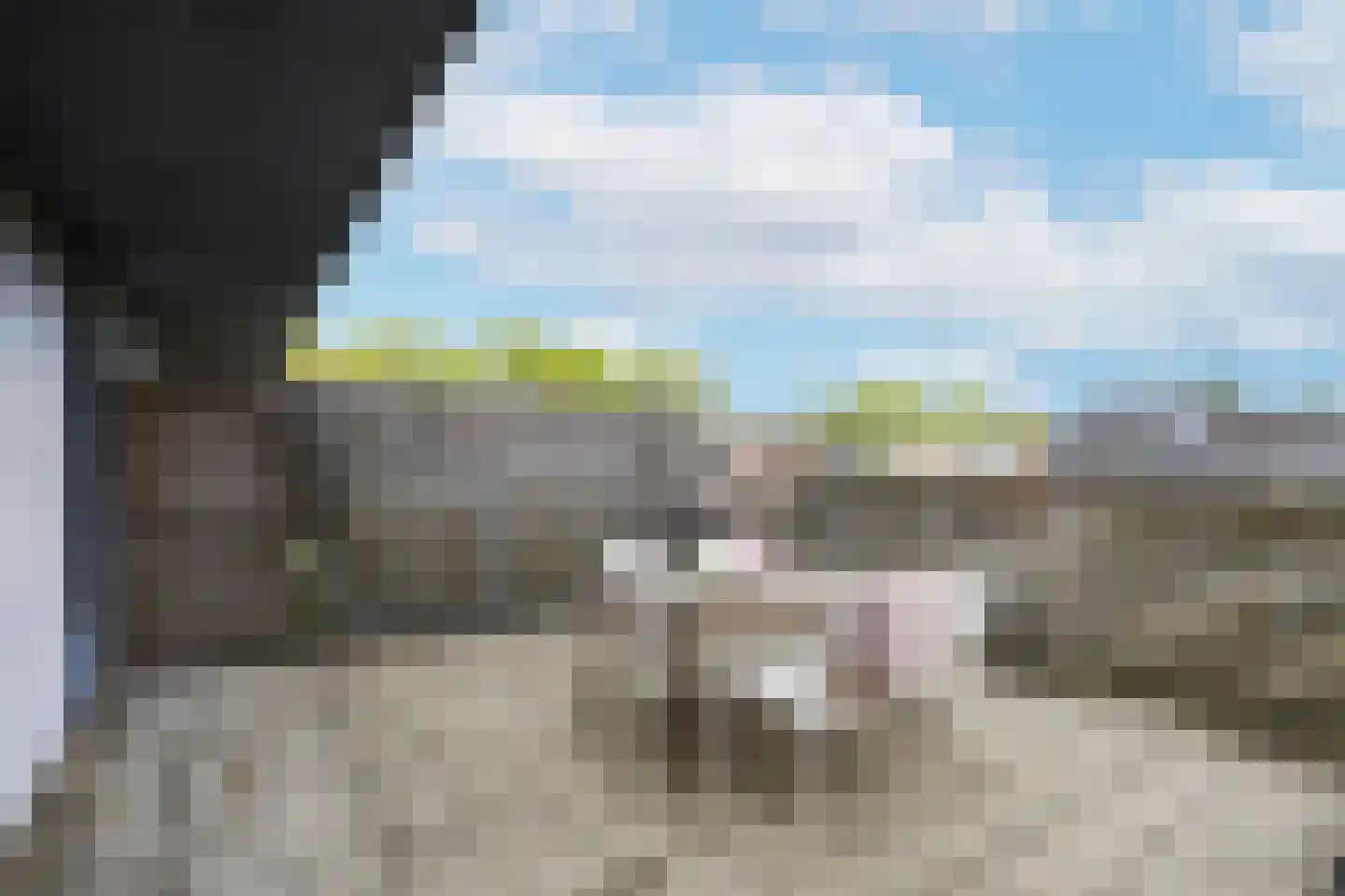De Vergulde Pauw 4 Amersfoort thumbnail 24