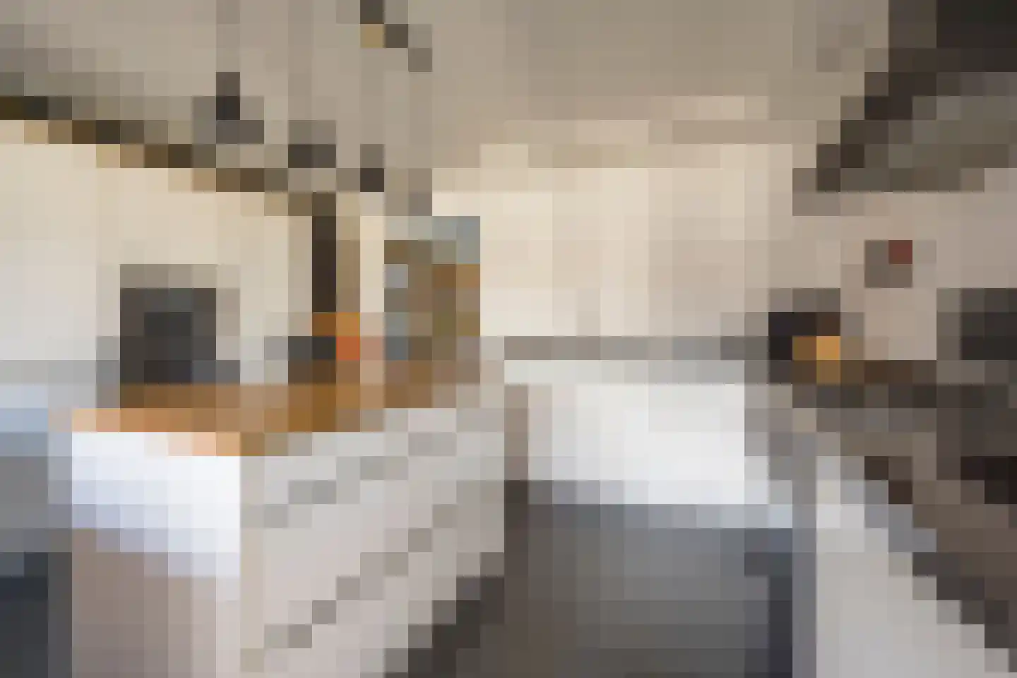 De Vergulde Valk 1 Amersfoort thumbnail 16